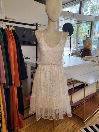 Picnic Dress